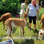 Sommerfest 2025