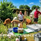Sommerfest 2025